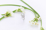 De Wet Jewellers 51