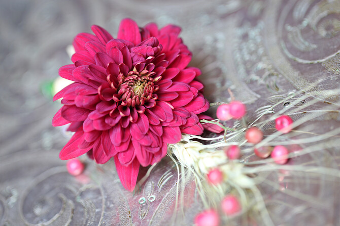 Royal Elephant Styled Shoot 27