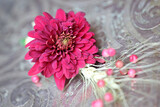 Royal Elephant Styled Shoot 27