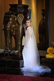 Royal Elephant Styled Shoot 65