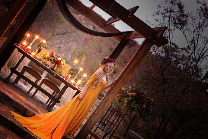 The Traveling Dress 61