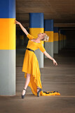The Traveling Dress 2