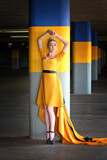 The Traveling Dress 4