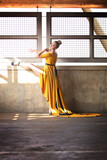 The Traveling Dress 9