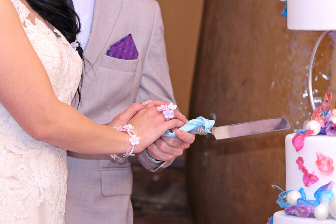 Royal Elephant Styled Shoot 34