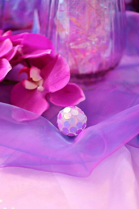 Royal Elephant Styled Shoot 48
