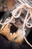 Products and Prints 22
