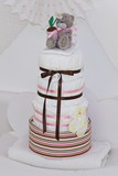 Nappy Cakes 73