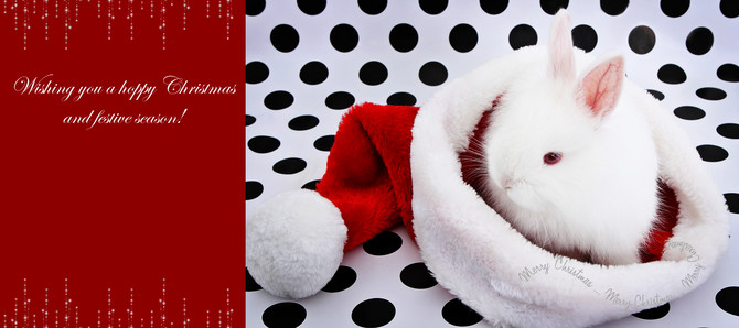 Christmas Cards 17