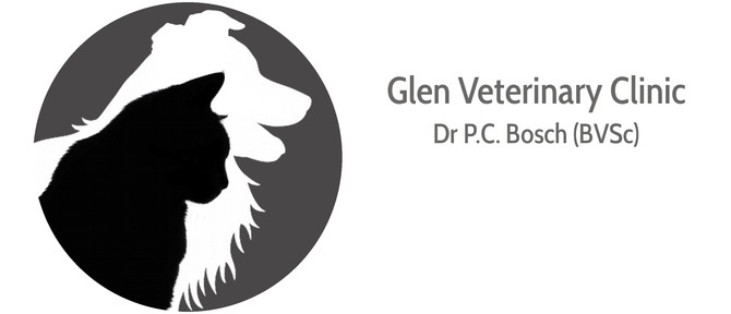 Logos and Business Cards 14