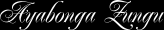 Ayabonga Zungu